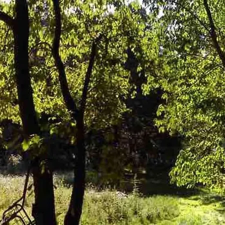 Semesterbostad Slameny Domek Bystra